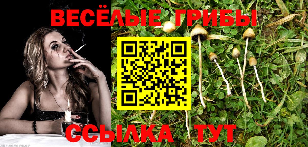 где можно купить   Вход с VPN  Ливны  Галлюциногенные грибы MAGIC MUSHROOMS 