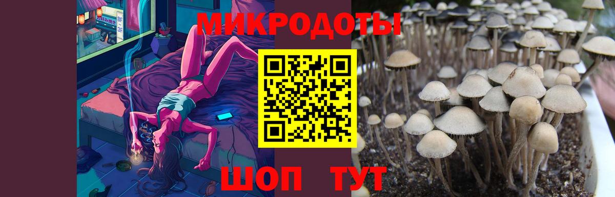 Галлюциногенные грибы мухоморы Ливны